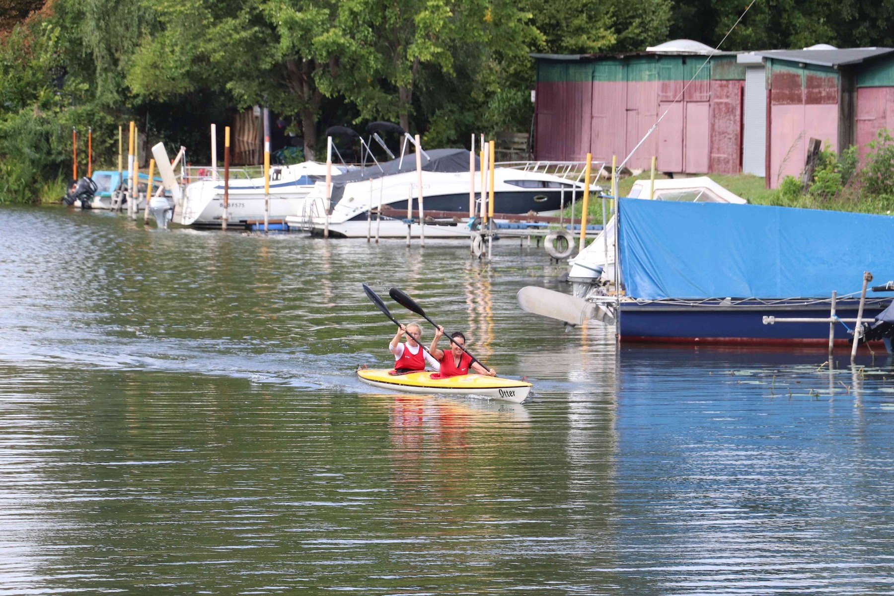 e img 3842
