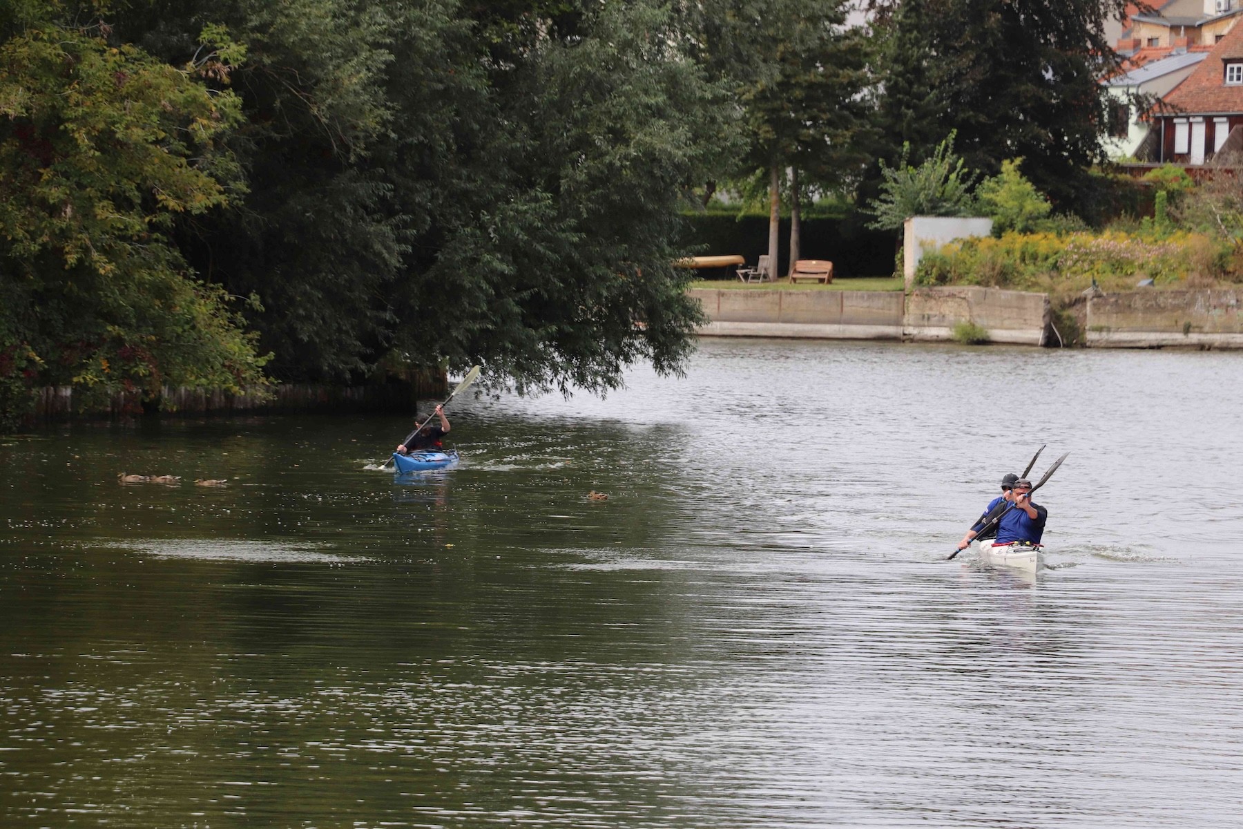 e img 3874