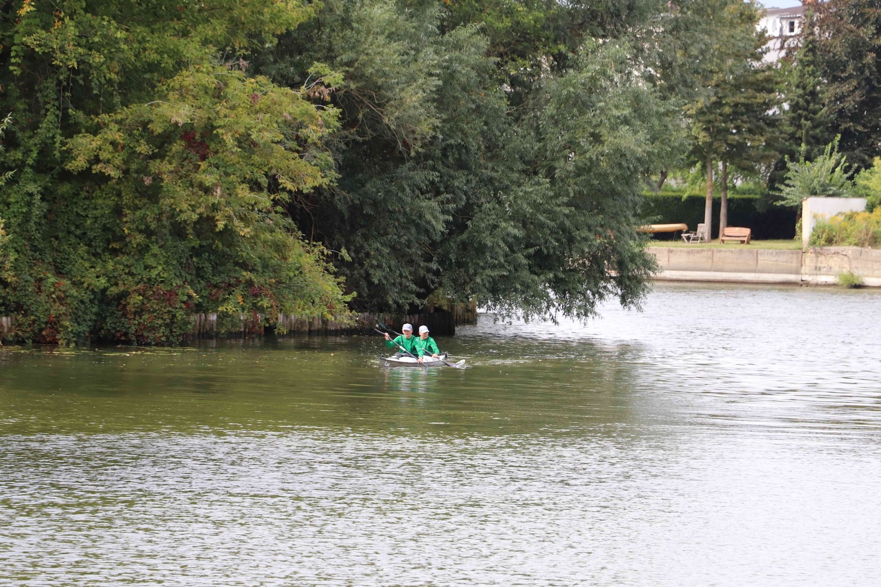 e img 3931